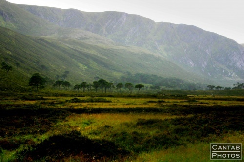 The Highlands - Photo 28